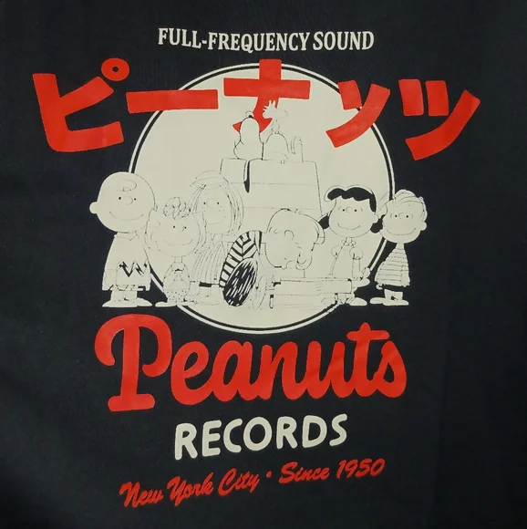 Peanuts Records Graphic Hoodie Unisex Men Women Fleece NWOT - Picture 6 of 12